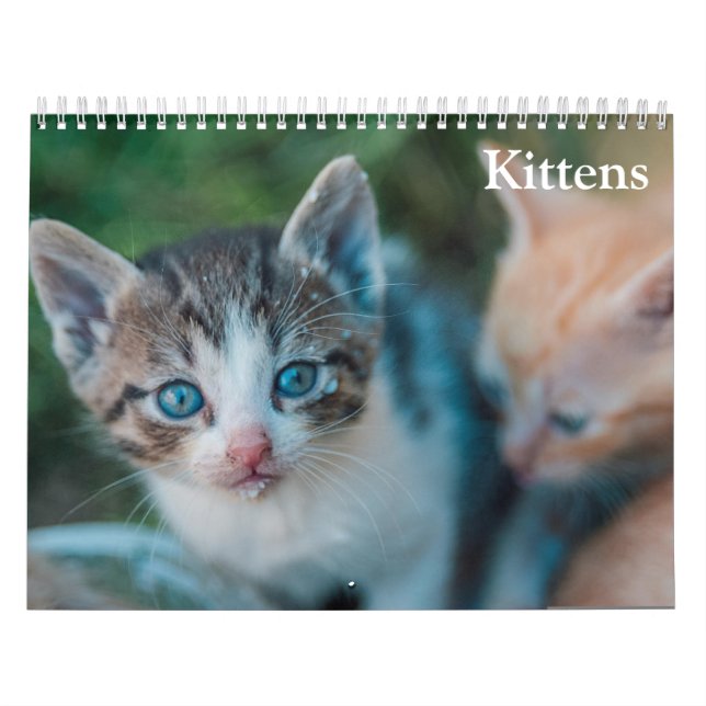 Calendario Gatitos Adorables 2027 (Tapa)