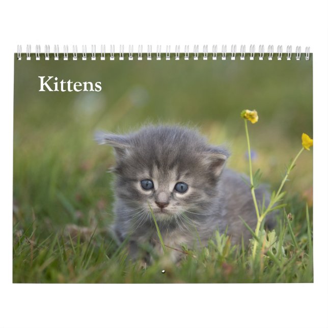 Calendario Gatitos Adorables 2027 (Tapa)