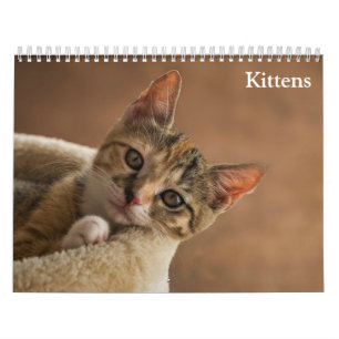 Calendario Gatitos Adorables 2027