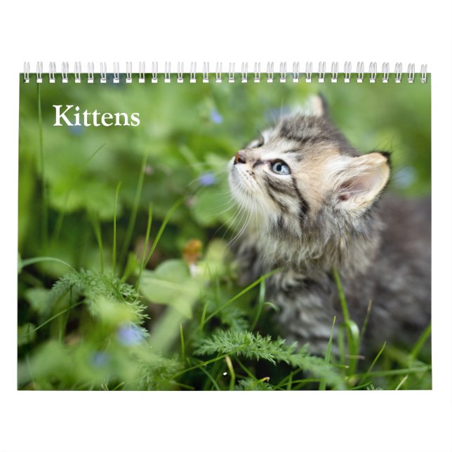 Calendario Gatitos Adorables 2027 (Tapa)