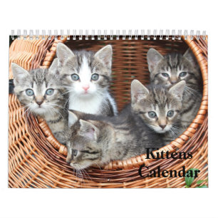 Calendario Gatitos Adorables Tigre de Bengala 2027