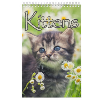 Calendario Gatitos Adorables y cantos fascinantes pared grand