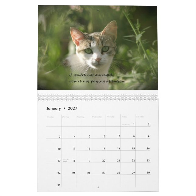 Calendario Gatitos de la conciencia (Jan 2027)