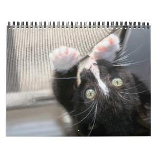 Calendario ¡Gatitos, gatitos!