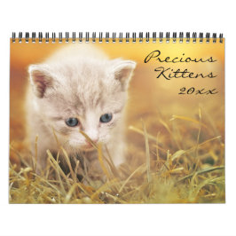 Calendario Gatitos preciados