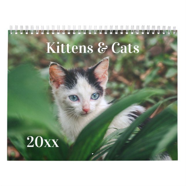 Calendario Gatitos y Gatos (Tapa)