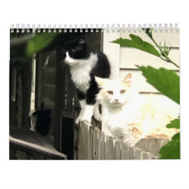Calendario Gato