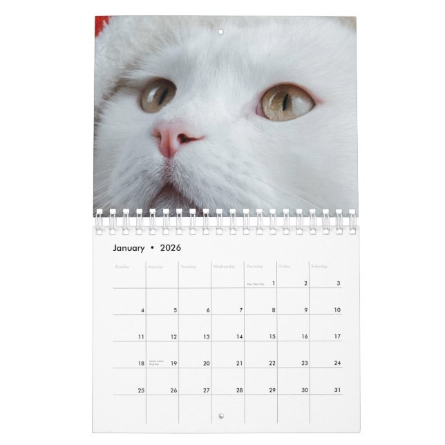 Calendario Gato (Jan 2026)