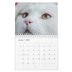 Calendario Gato