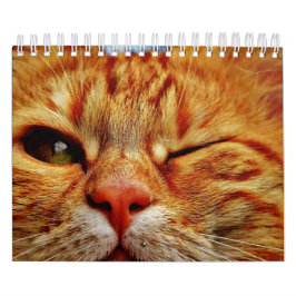 Calendario Gato