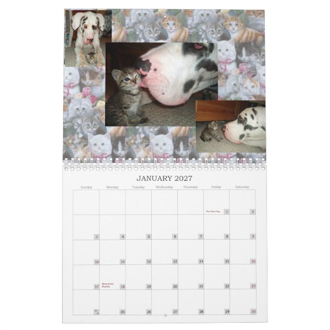 CALENDARIO GATO AMIGOS DE INTERNET (Jan 2027)