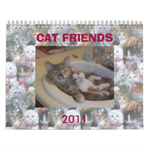 CALENDARIO GATO AMIGOS DE INTERNET
