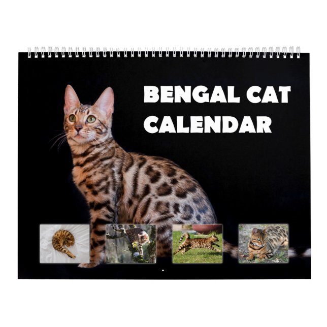 Calendario Gato Bengal (Tapa)