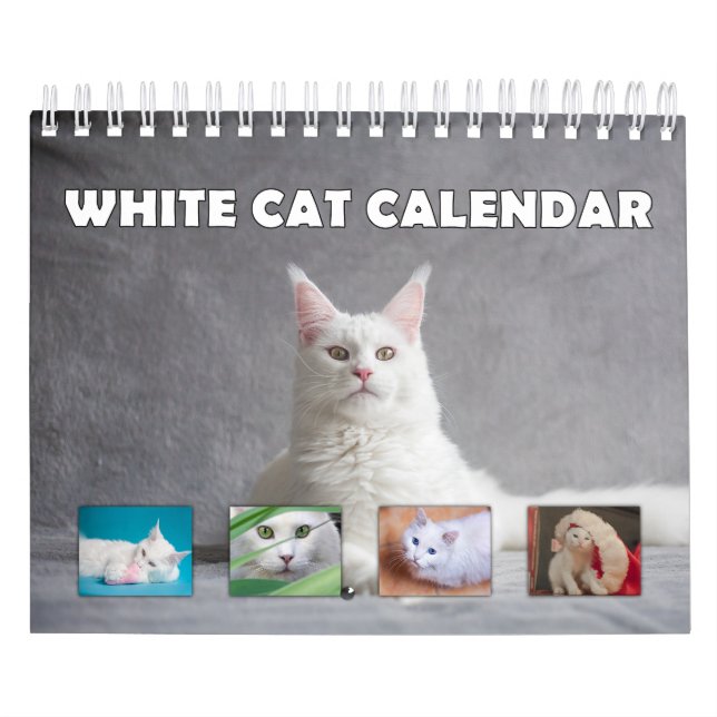 Calendario Gato blanco (Tapa)