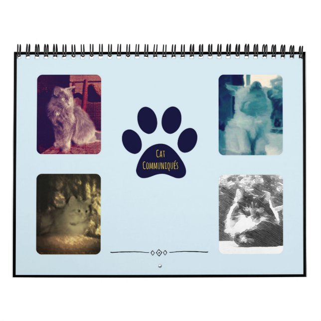 Calendario Gato Communiqués (Tapa)