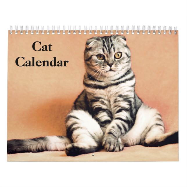 Calendario Gato de Bengala 2025 (Tapa)
