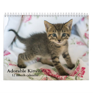 Calendario Gato De Gatitos Adorables De Doce Meses De 2025