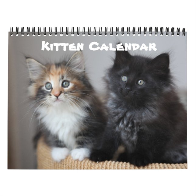 Calendario Gato Gatito Gatito Gatito Bebé Destino De Casa (Tapa)