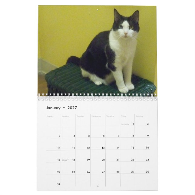 Calendario Gato "Molly " del smoking (Jan 2027)