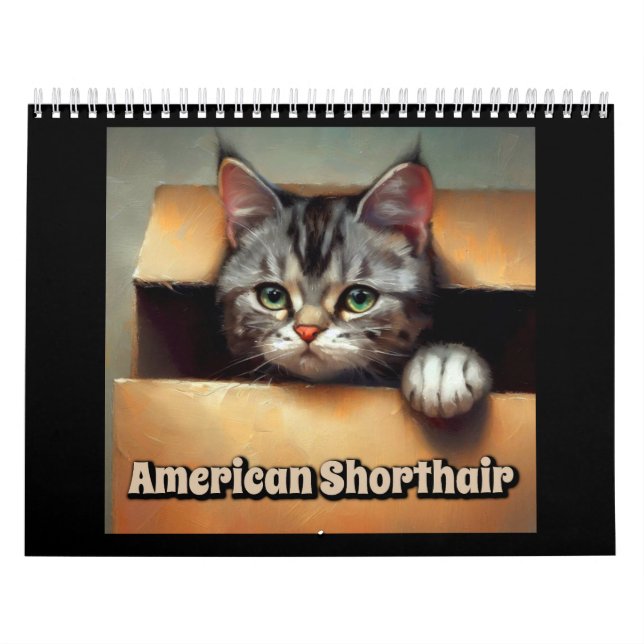 Calendario Gato Shorthair americano (Tapa)