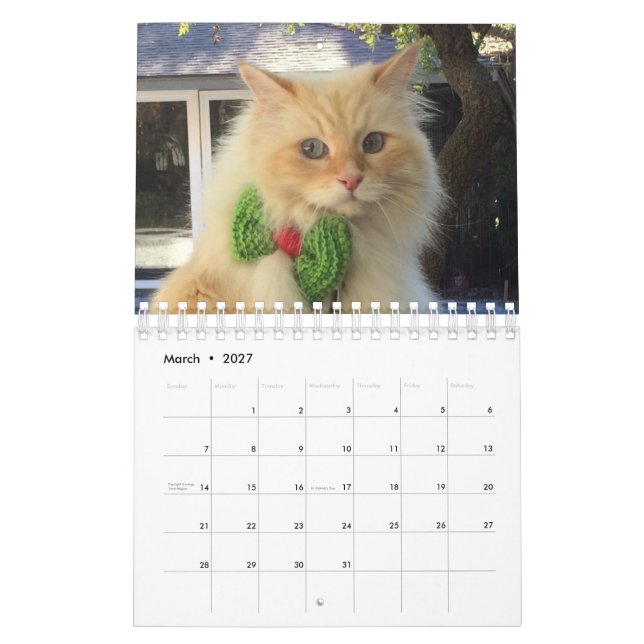 Calendario Gato siberiano del bosque (Mar 2027)