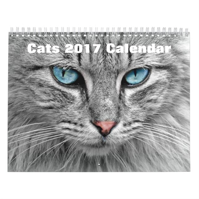 Calendario Gatos 2017 (Tapa)