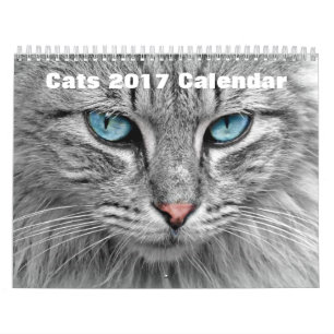 Calendario Gatos 2017