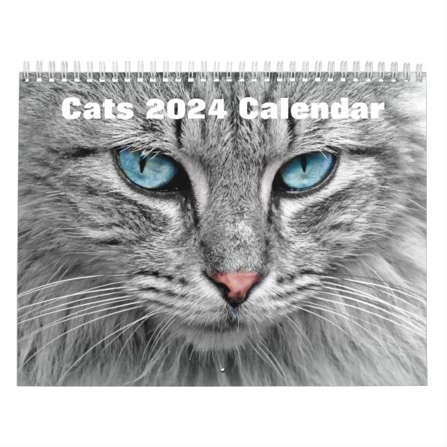 Calendario Gatos 2024 (Tapa)