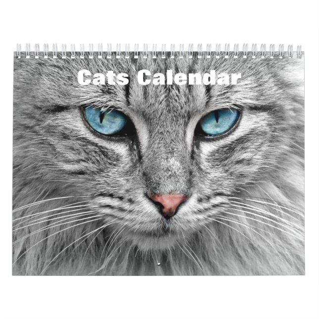 Calendario Gatos 2025 (Tapa)