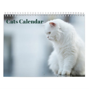 Calendario Gatos 2027