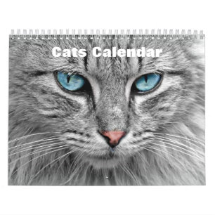Calendario Gatos 2027