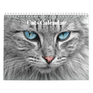 Calendario Gatos Bengalí 2027