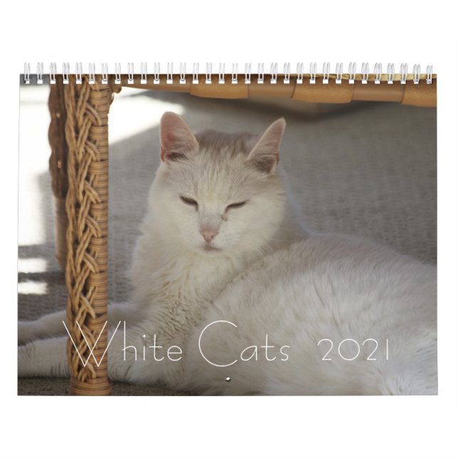 Calendario Gatos blancos 2021 (Tapa)