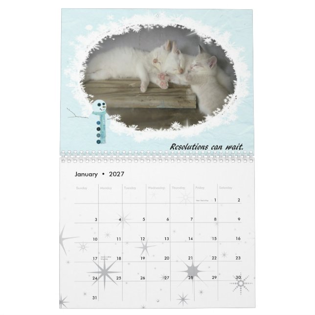 Calendario Gatos de 2010 (Jan 2027)