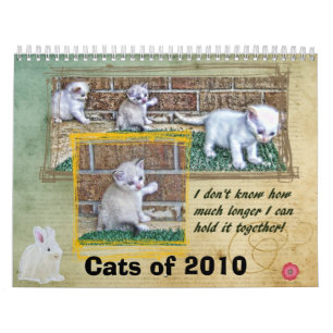 Calendario Gatos de 2010