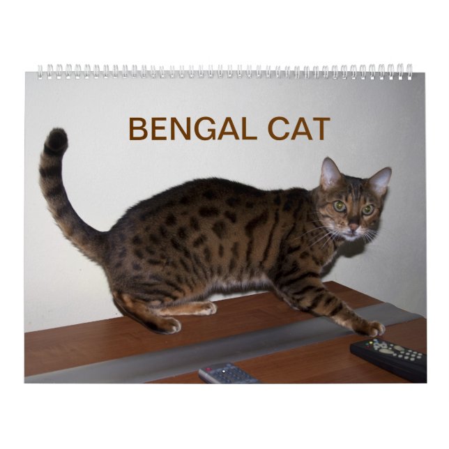 Calendario Gatos de Bengala de 2025 (Tapa)