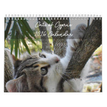Gatos de Chipre por PaphosLife Calendar