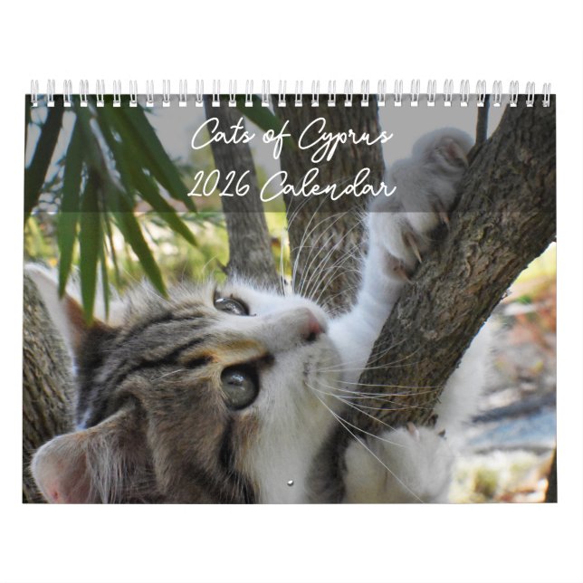 Calendario Gatos de Chipre por PaphosLife Calendar (Tapa)