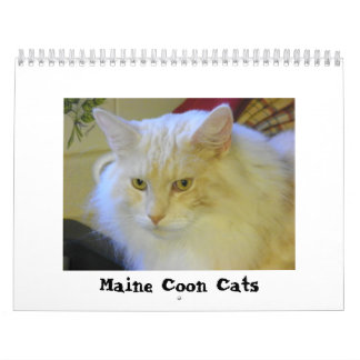 Calendario Gatos de Coon de Maine