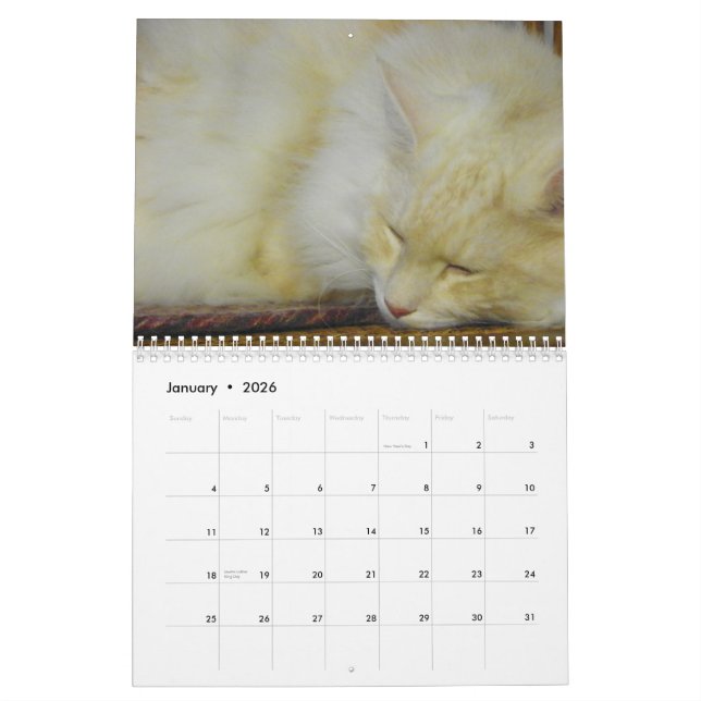 Calendario Gatos de Coon de Maine (Jan 2026)