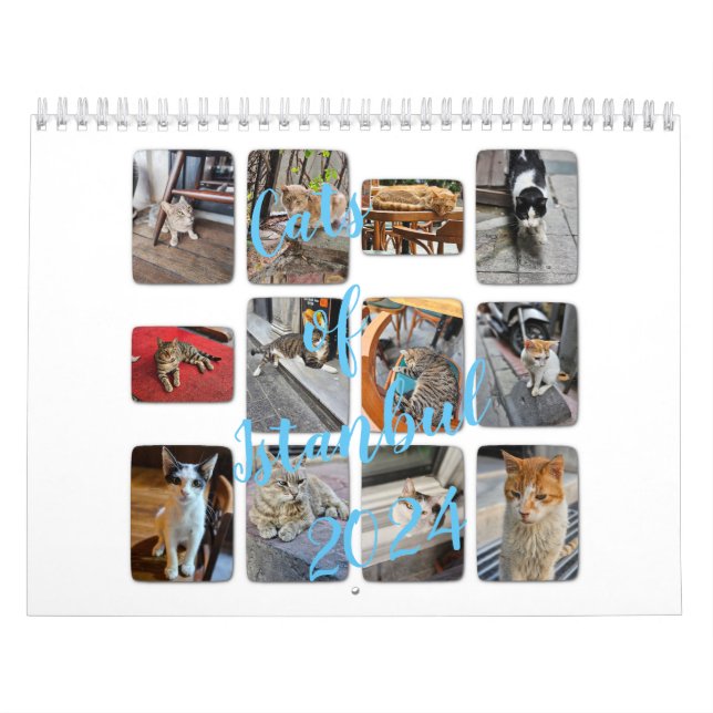 Calendario Gatos de Estambul (Tapa)