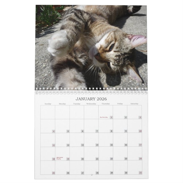 Calendario Gatos de la vecindad 2013 (Jan 2026)