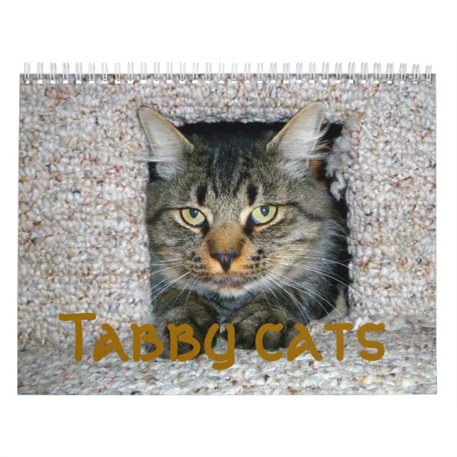 Calendario Gatos de tabú (Tapa)