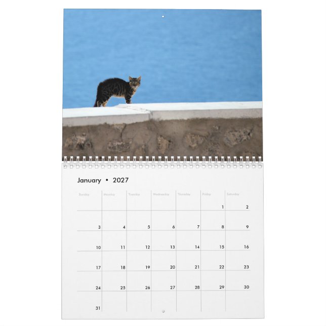 Calendario Gatos del gatito de Grecia (Jan 2027)