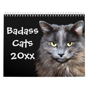 Calendario Gatos divertidos con Catitude