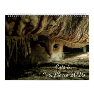 Calendario Gatos en Lugares Acogedores 2026