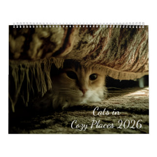 Calendario Gatos en Lugares Acogedores 2026