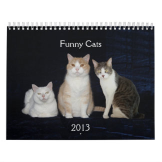 Calendario Gatos/gatitos divertidos