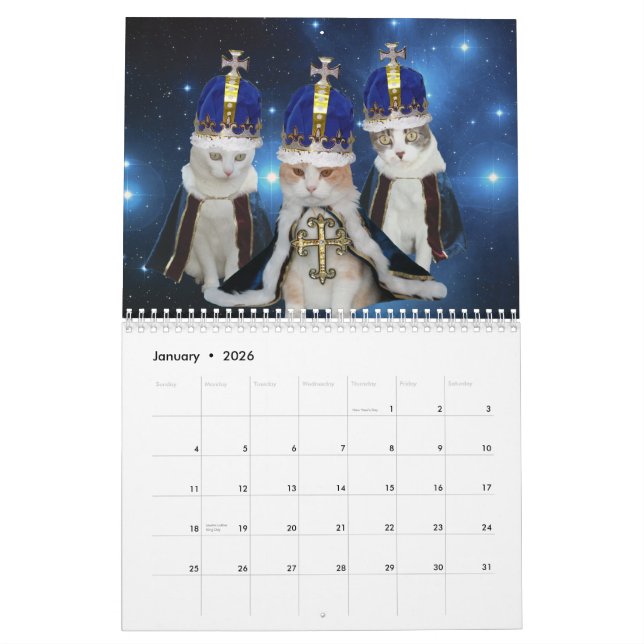 Calendario Gatos/gatitos divertidos (Jan 2026)