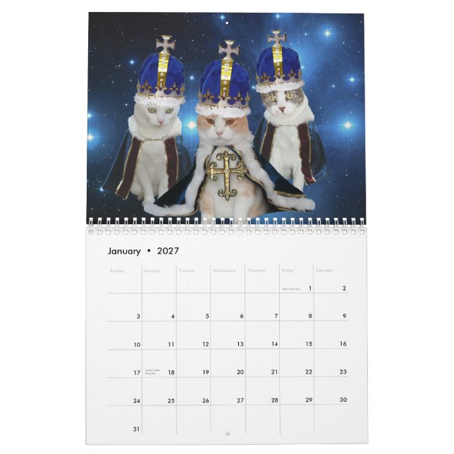 Calendario Gatos/gatitos divertidos (Jan 2027)